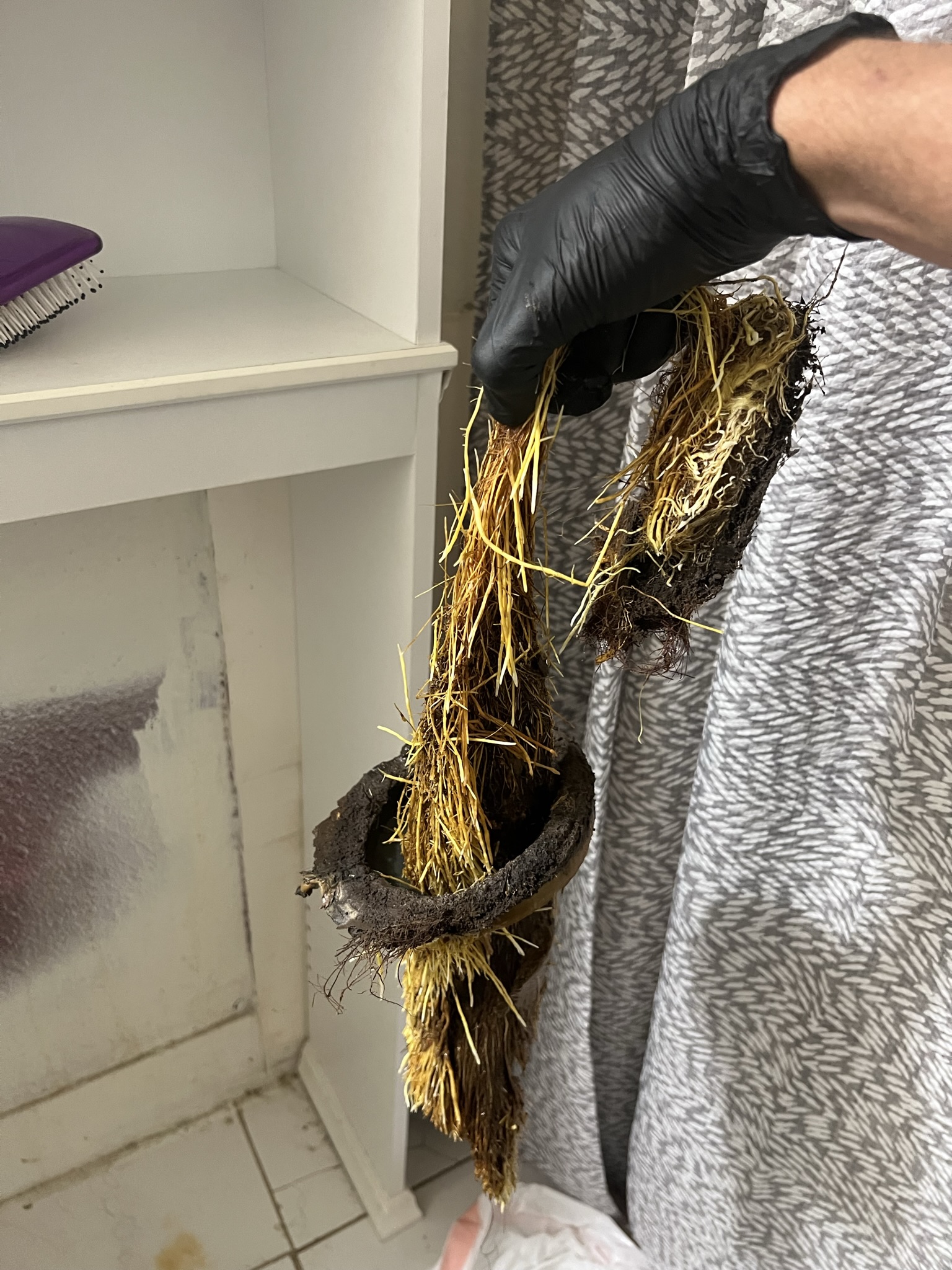 Root-destroyed cast iron pipe removed during sewer service